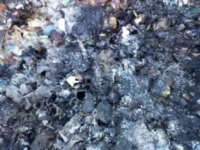 Полигон опасных отходов обнаружили на Троещине в Киеве - эколог