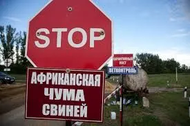 В Харьковской и Николаевской областях зарегистрированы вспышки АЧС