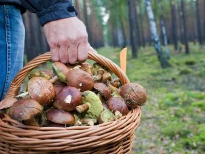 В Черновицкой области нашли пропавших грибников - ГосЧС
