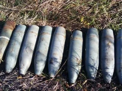 Боеприпасы обнаружили в лесополосе вблизи Торецка