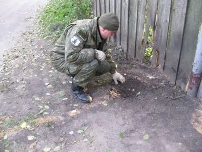 Двое селян пострадали от взрыва гранаты в Черниговской области