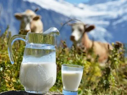 Цены на молоко в Украине выросли на 20% за два месяца
