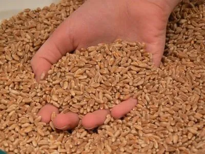 Експерт розповів про ризики росту контрабандного ринку зерна, пов’язані із законодавчими проґалинами щодо сертифікації