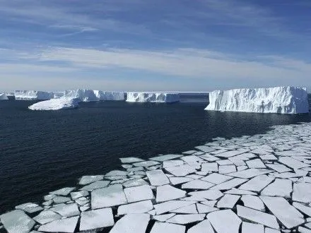 Найбільшу морську заповідну зону створять в Антарктиці