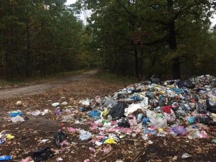 Из-за "путешествующего" львовского мусора в Верховной Раде советуют обращаться в Минэкологии