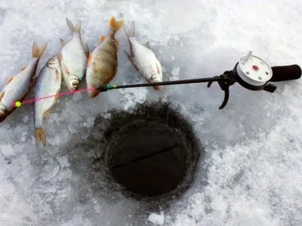 С сегодняшнего дня в Украине запретили ловить рыбу на зимовальных ямах