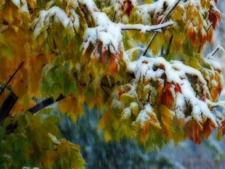 Завтра в большинстве областей Украины ожидается дождь с мокрым снегом