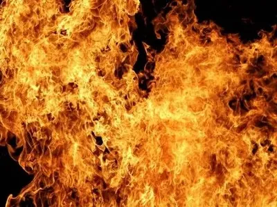 Во время пожара в Житомирской области погиб человек