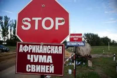 Вспышку АЧС зафиксировали в Полтавской области