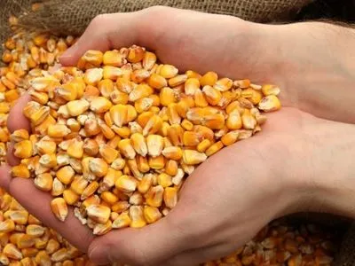 Аграрии намолотили почти 17 млн ​​тонн кукурузы