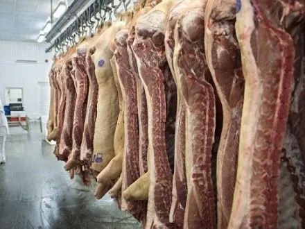 Через АЧС експорт української свинини скоротився у 20 разів всього за 9 міс - аналітик