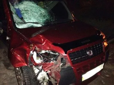 Водитель Fiat Doblo сбил насмерть женщину в Запорожье