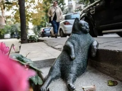 Памятник уличному коту в Стамбуле похитили на несколько дней