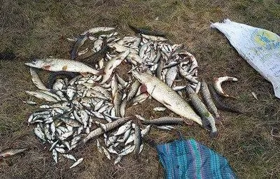 В Ровенской области поймали браконьеров, которые нанесли ущерб рыбным запасам более чем на 70 тыс. грн