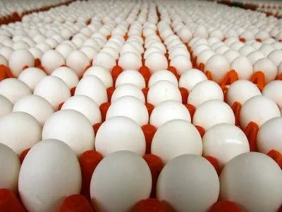 В Украине производство яиц за 10 месяцев сократилось на 10,5%