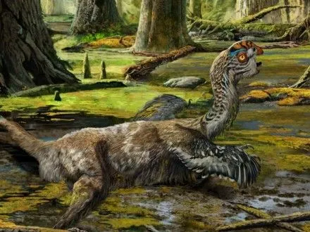 reshtki-novogo-vidu-dinozavriv-viyavili-u-kitayi