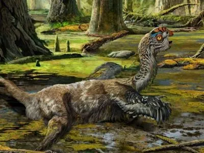 Остатки нового вида динозавров обнаружили в Китае