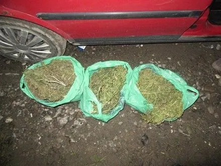 На Прикарпатье в автомобиле нетрезвого мужчины полицейские обнаружили более килограмма марихуаны