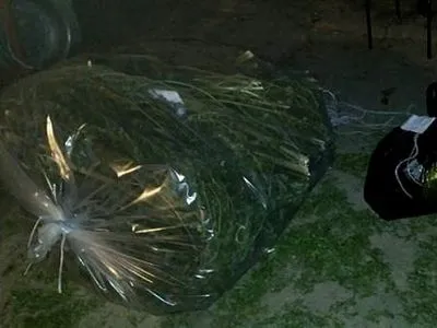 Правоохранители изъяли 20 кг марихуаны в Запорожье