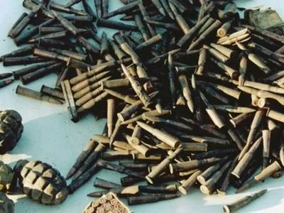 Правоохоронці виявили гранати та патрони у жителя Житомирщини