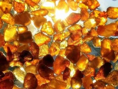 Правоохранители предупредили добычу янтаря в Житомирской области