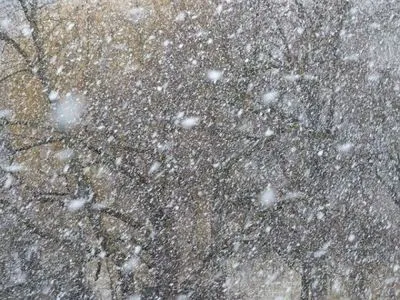 Для расчистки снега на Закарпатье задействовали 25 единиц техники