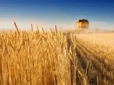 Украина в течение девяти месяцев экспортировала агропродукции на 10,4 млрд долл. - Минагрополитики