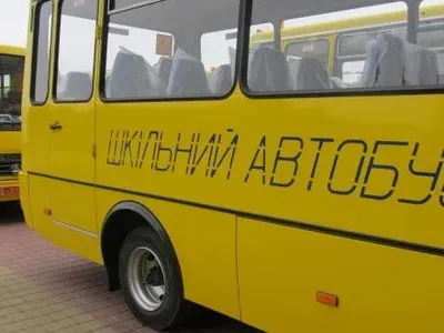 В следующем году государство планирует выделить на закупку школьных автобусов 200 млн грн - Л.Гриневич