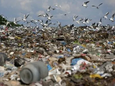 Майже 4 млн грн виділили на пересипку сміттєзвалища у Підгірцях
