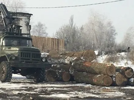Незаконной древесины на полмиллиона грн изъяли в Житомирской области