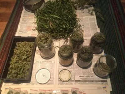 У жителя Запорожья изъяли марихуаны на 800 тыс. грн