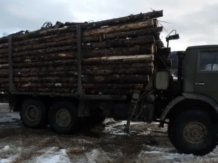На Прикарпатье разоблачили предпринимателя, который планировал поставить 2 тыс. куб.м древесины