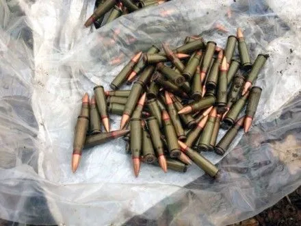 Тайник с боеприпасами обнаружили в Харьковской области