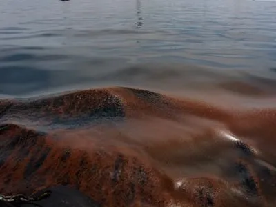 Специалисты пока не подсчитали сумму ущерба от разлитой в Черном море нефти - Госэкоинспекция