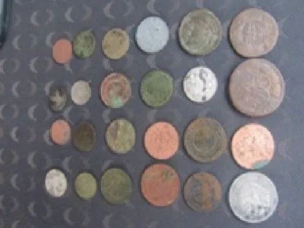 Около 30 старинных монет обнаружили у украинца на границе с Молдовой