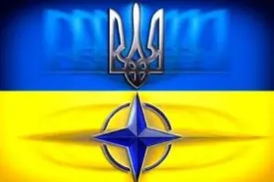 Украина может достичь стандартов НАТО до 2020 года - С.Джердж