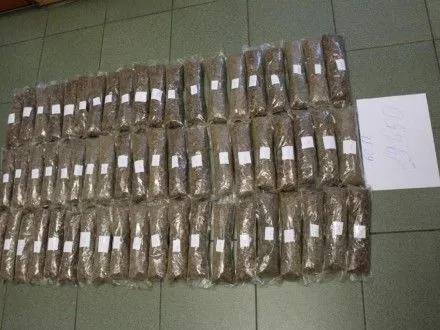 Майже 20 кг контрабандного бурштину виявили на кордоні с Польщею