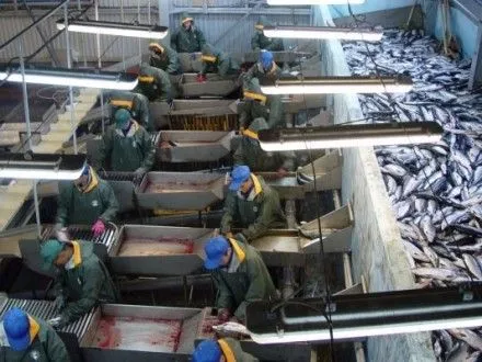 В Госрыбагентстве предложили рыбоводным заводам оказывать платные услуги