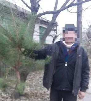 Чоловіку, що поцупив у парку дерево, загрожує ув'язненя до п'яти років на Полтавщині