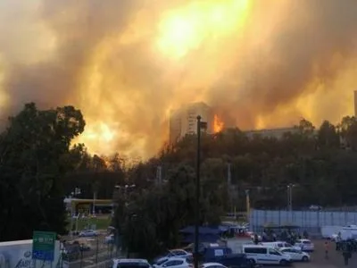 Пожар в городе Хайфа взят под контроль