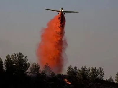 В Ізраїлі затримали підозрюваних у масштабних підпалах лісу