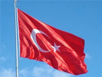Затриману у Туреччині кореспондентку "Голосу Америки" відпустили
