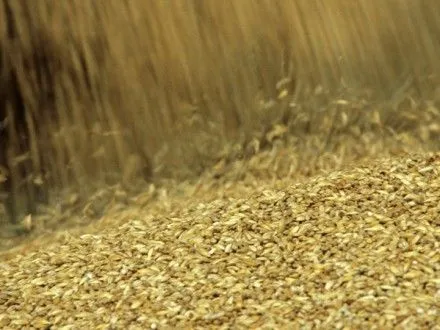 Заборонені до ввезення в інших країнах хвороби зерна в Україні не є карантинними - експерт