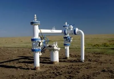Геологоразведку месторождений газа должен финансировать стратегический инвестор - Л.Пидлисецкий