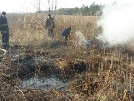 Торфяной пожар потушили в Киевской области