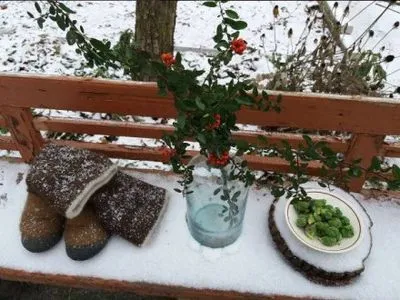 Снежная Украина на фото пользователей социальных сетей