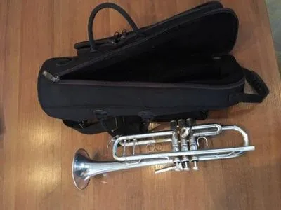 Полиция нашла похищенный музыкальный инструмент трубача с Майдана К.Олейника - Л.Сарган