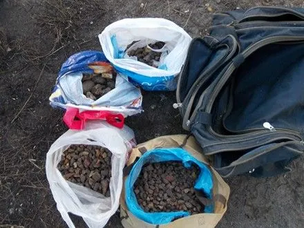 Близько 14 кг бурштину вилучили у жителя Рівненщини