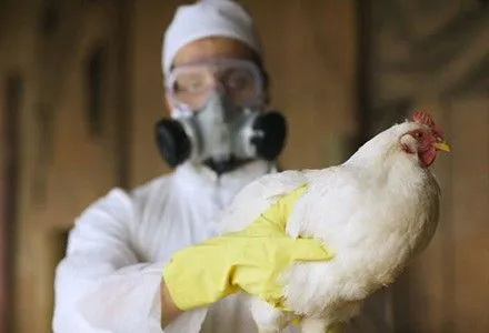 На Херсонщині зафіксували спалах пташиного грипу