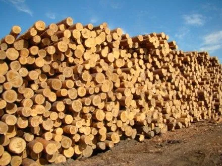 В.Медведчук об экспорте леса-кругляка: евроинтеграторы превратили Украину в сырьевой придаток Запада